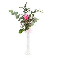 Single Pink Rose in Vase